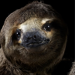 File:Vrml user ee9b5118-909b-42df-aa90-879f893a5161.png