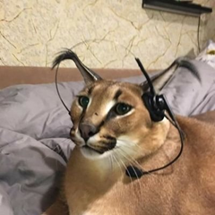File:Vrml user d329e9a5-41f5-4867-92a3-06399ce2c9a1.png