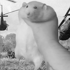 File:Vrml user e7734c9f-eaf6-4be3-9aee-dd6b1315568a.png