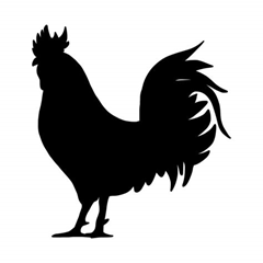 File:Vrml user e35c9243-8464-46d7-8af1-1230415b337a.png