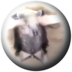 File:Vrml user b9780dd6-55f9-41dd-aff3-f97c9cd94d96.png